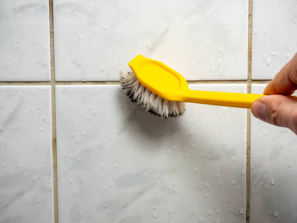 Best Fast Mold Removal  in Humansville, MO