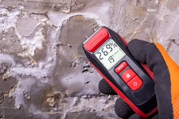 Best Crawl Space Mold Removal  in Humansville, MO