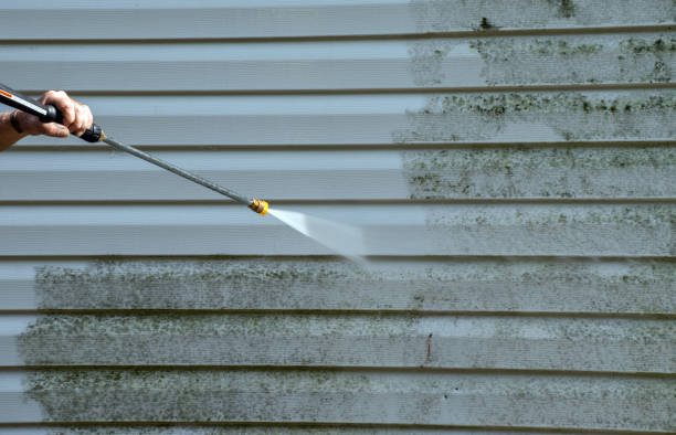 Best Toxic Mold Removal  in Humansville, MO