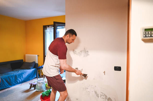 Best Mold Cleaning Services  in Humansville, MO